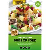 FIRST EARLIERS DUKE OF YORK 2kg