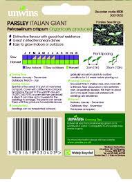 Parsley Italian Giant Organic