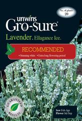 Lavender Ellegance Ice