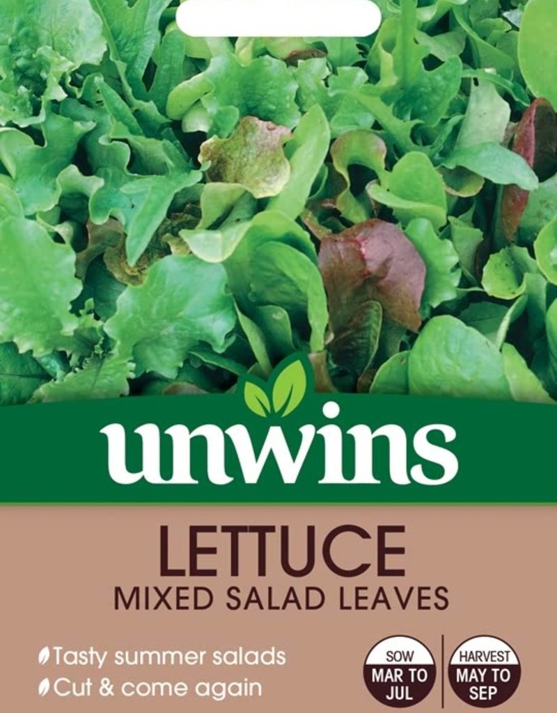 Lettuce (Leaves) Mixed Salad Leaves