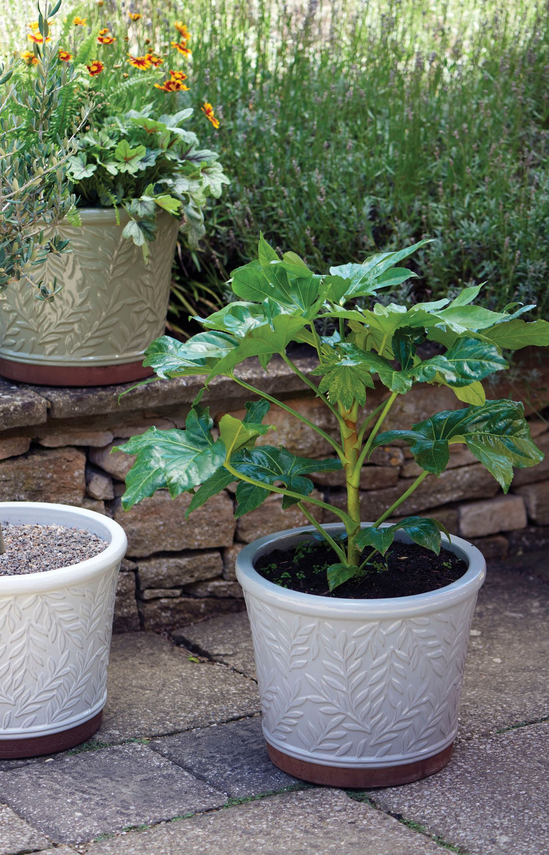 32CM WMORRISV POT CREAM