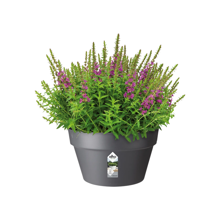 Loft Urban Bowl Pot Ø35cm Anthracite