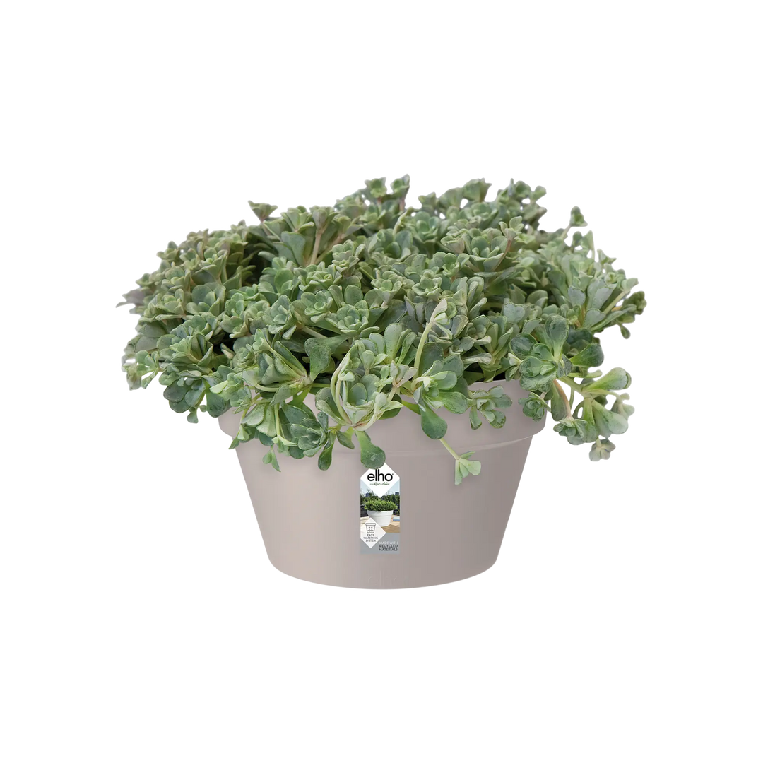 Loft Urban Bowl Pot Ø35cm Warm Grey