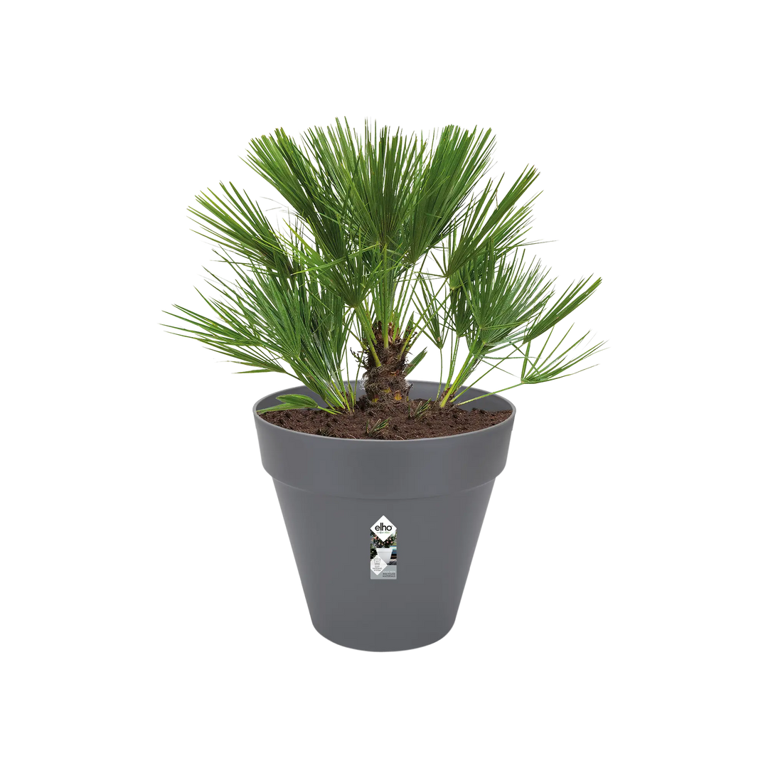 Loft Urban Round Pot On Wheels Ø60cm Anthracite