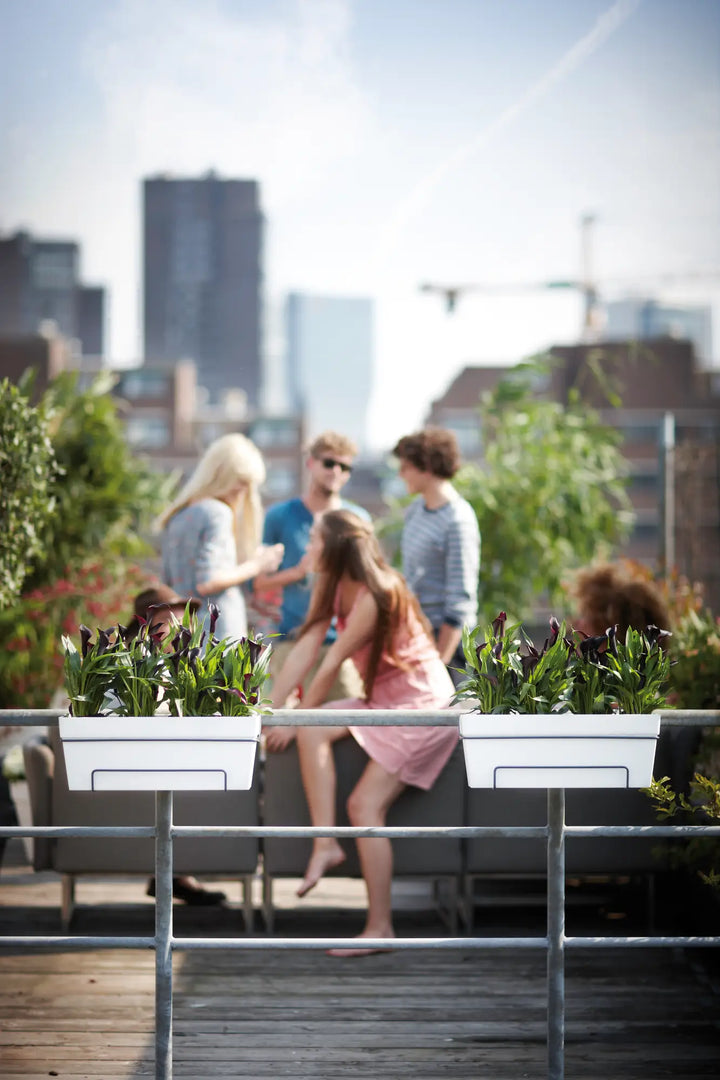 Loft Urban Trough Allin1 White 50Cm - Pots - Windyridge Garden Centre