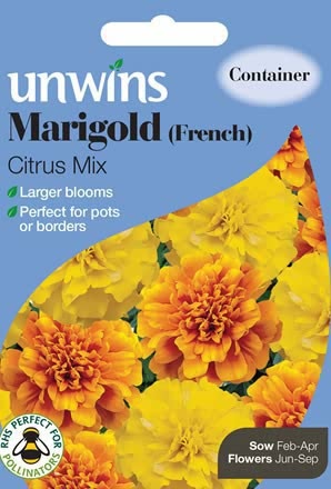 Marigold French Citrus Mix