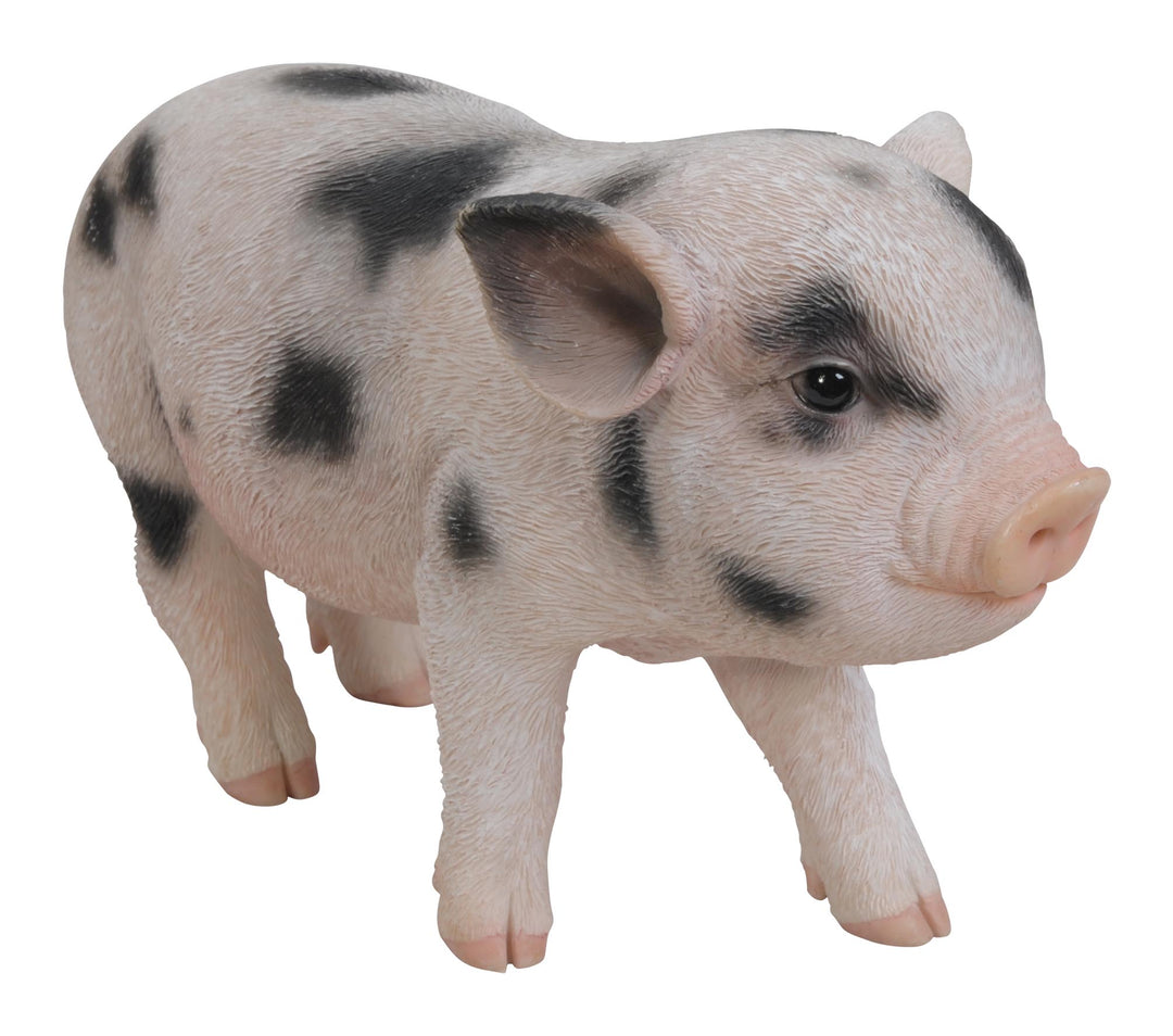Micro Pig ASSORTED MIX D