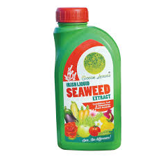 Ocean leaves seaweed fertiliser 500ml