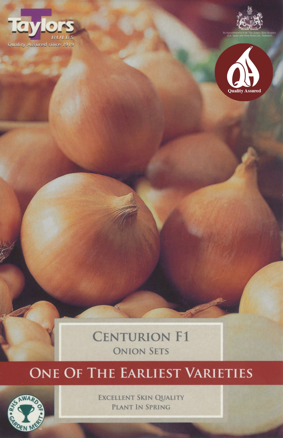 ONION CENTURION F1 X 50