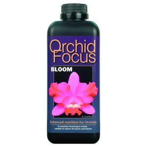 Orchid Focus Bloom 100ml