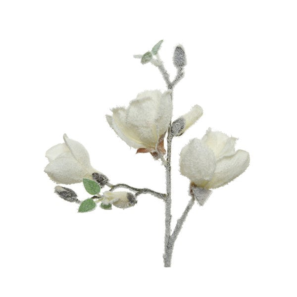 Pes Magnolia Spray White - Christmas - Windyridge Garden Centre