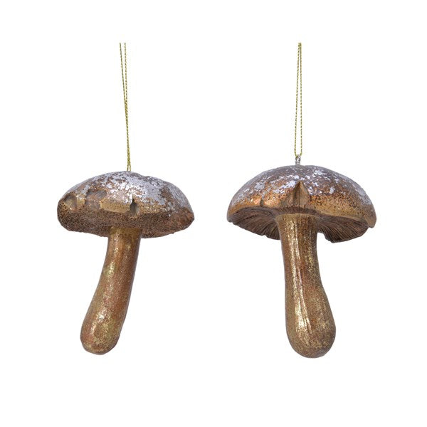 Mushroom polyresin