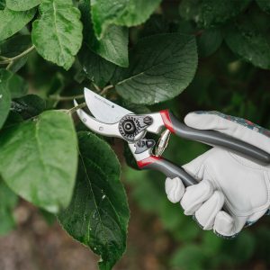 KS Surecut All Purpose Lite Secateurs