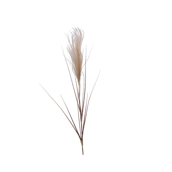 Pvc Pampas Plum Natural/Snow - Christmas - Windyridge Garden Centre