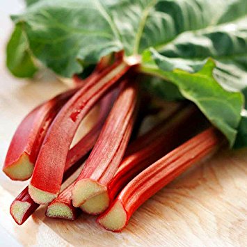 Rhubarb Timperley Early - Grow Your Own - Windyridge Garden Centre