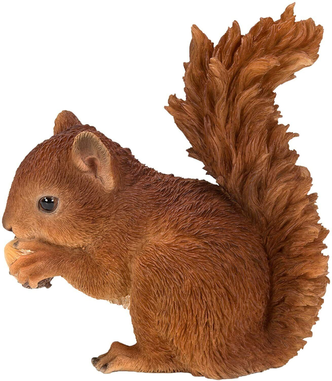 RL Baby Red Squirrel F