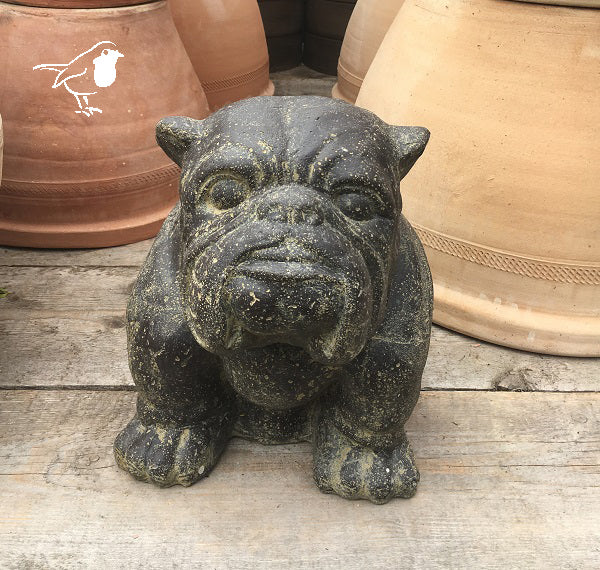 Seated Bulldog 32Cm Length - Garden Ornaments - Windyridge Garden Centre