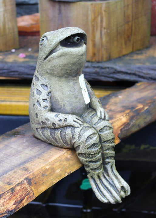 Sitting Frog - Plumped - Water Features - Windyridge Garden Centre