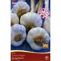 GARLIC SOLENT WIGHT