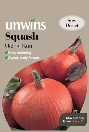 Squash Uchiki Kuri