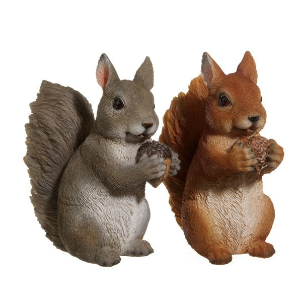 Squirrel 2Col
 Assorted - Christmas - Windyridge Garden Centre