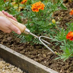 3 Prong Cultivator SS Hand