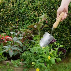 Hand Trowel SS