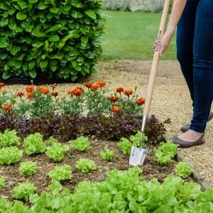 Trowel Long Handled  KS SS