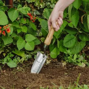 Transplanting Trowel SS Hand