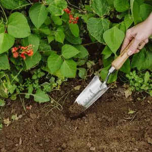 Transplanting Trowel SS Hand