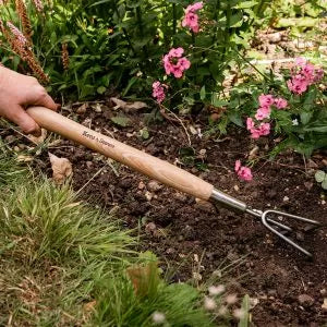 3 Prong Cultivator KS SS Border