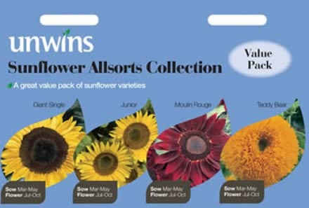 Sunflower Allsorts Collection
