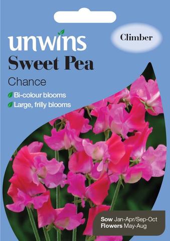 Sweet Pea Chance