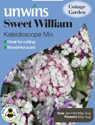 Sweet William Kaleidoscope Mix - Seed Packets - Windyridge Garden Centre