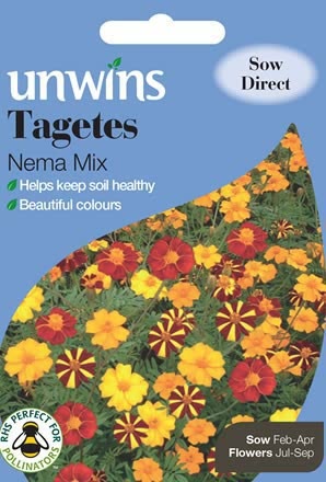 Tagetes Nema Mix - Seed Packets - Windyridge Garden Centre