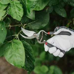 Bypass Secateurs 6.5 Garden Life