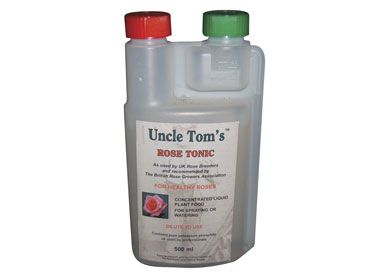 Rose Tonic Uncle Toms