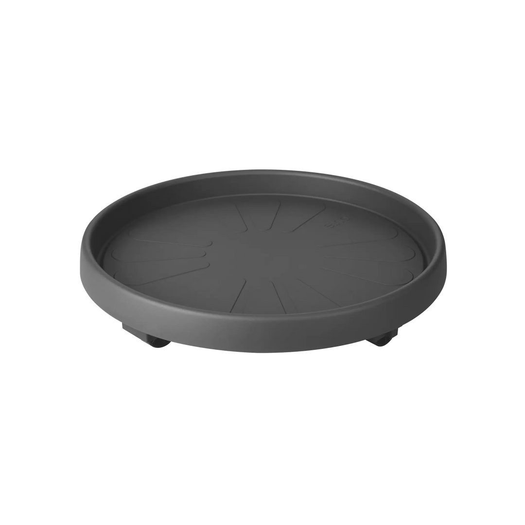 Universal Planttaxi Anthracite Saucer Wheels Ø30cm
