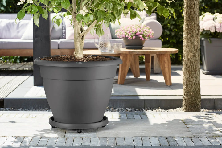 Universal Planttaxi Anthracite Saucer Wheels Ø30cm