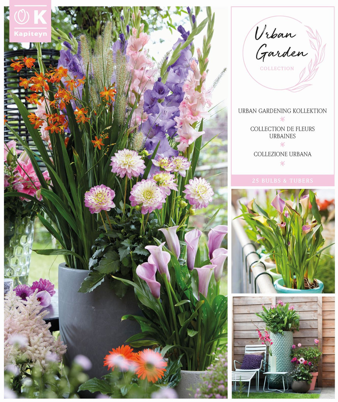 Urban Garden Collection