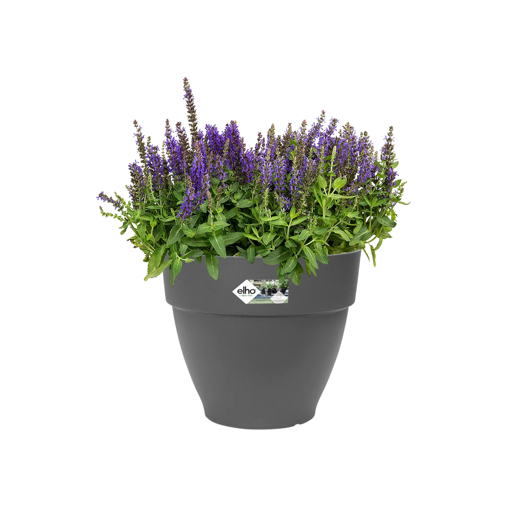 Elho Vibia Campana round plant pot in Anthracite