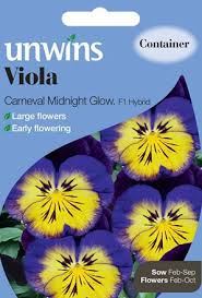 Viola Carneval Midnight Glow F