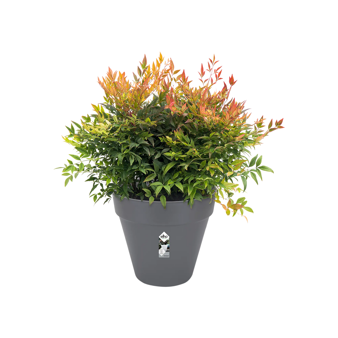 Loft Urban Round Pot On Wheels Ø50cm Anthracite