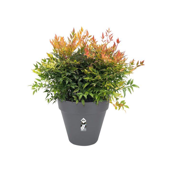 Loft Urban Round Pot On Wheels Ø50cm Anthracite