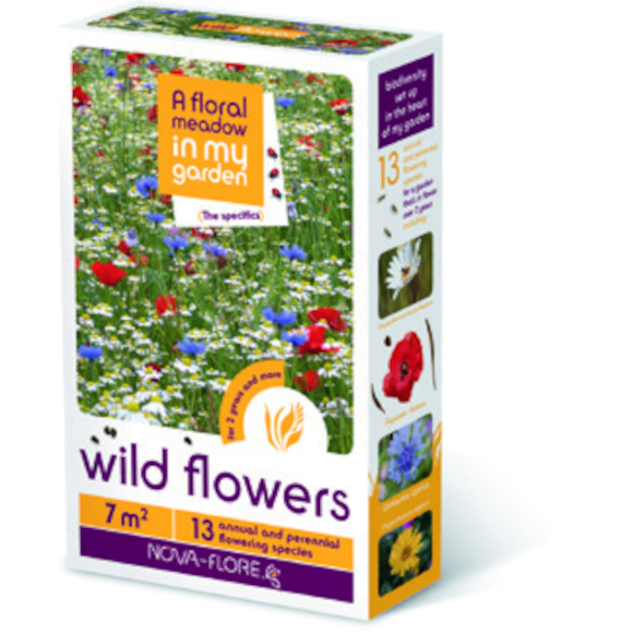 A Floral Meadow - Floral meadow wild flowers 7 sq.m