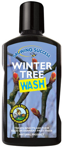 GS Winter Tree Wash