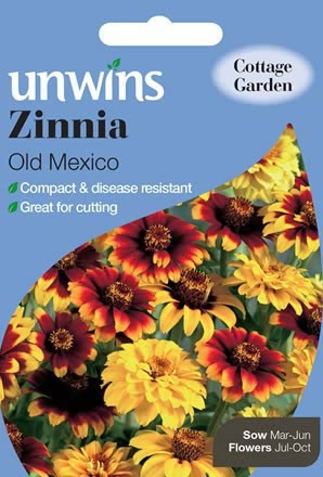 Zinnia Old Mexico